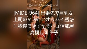 [MIDE-964] 出張先で巨乳女上司のからかいオッパイ誘惑に我慢できずヤリパコ相部屋 高橋しょう子