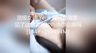 顶级女神 Yeha 尾行女高管 见了这么完美的肉体你会跟吗[144P+1V/354M]