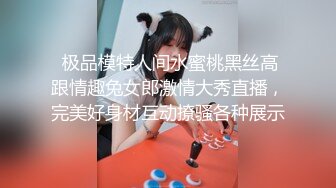  极品模特人间水蜜桃黑丝高跟情趣兔女郎激情大秀直播，完美好身材互动撩骚各种展示