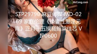 麻豆传媒 Pussy Hunter PS017 激情3P黑丝巨乳家政妇