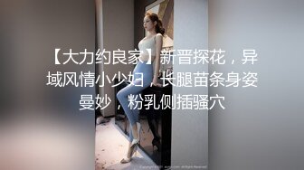 【大力约良家】新晋探花，异域风情小少妇，长腿苗条身姿曼妙，粉乳侧插骚穴