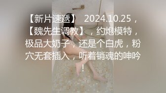 果冻传媒 一夜情 酒吧艳遇的美女居然是女友的姐姐-林凤娇