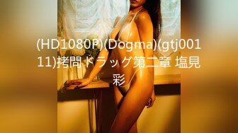 (HD1080P)(Dogma)(gtj00111)拷問ドラッグ第二章 塩見彩