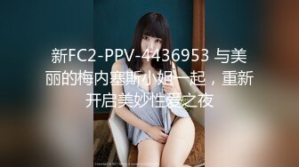 新FC2-PPV-4436953 与美丽的梅内塞斯小姐一起，重新开启美妙性爱之夜