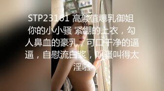 STP23161 高颜值爆乳御姐 你的小小骚 紧绷的上衣，勾人鼻血的豪乳，可口干净的逼逼，自慰流白浆，叫骚叫得太淫啦