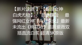 兴奋与快感交融的高潮[中文字幕]