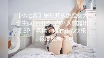 【大象传媒】dx-003 骚肉妹妹传媒 在做爱或在做爱的路上-何安汝