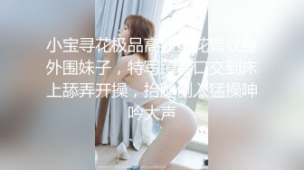 小宝寻花极品高质量花臂纹身外围妹子，特写蹲着口交到床上舔弄开操，抬腿侧入猛操呻吟大声