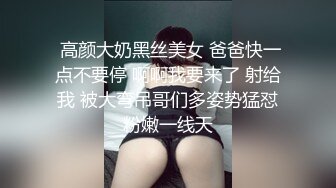 LJ极品地铁高清CD系列20部合集 (20)