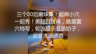 涩会传媒SH004 《我的嫂子是妓女》 漂亮嫂子无法忘 嫖娼意外从天降 新人女优 韩梦嫣