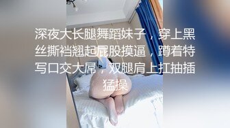 广州某品牌内衣发布会各种性感的内裤纷纷登场哦操,竟然B毛都看的一清二楚 (5)