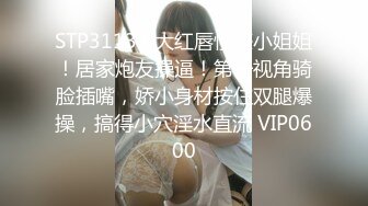 -骚姐妹『小M寻主人』 精彩5P游戏 两对男女的互动露脸