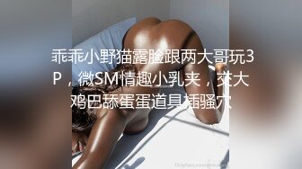 涩会传媒SH012合租的陌生人 捆绑强暴操你无药可救 吴心语