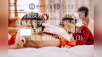 云盘精品泄密！❤️济南眼镜反差婊♡♥【刘孟淑】♡♥不雅露脸自拍视图流出完整版，紫薇居家日常与小胖男友各种啪啪 (15)