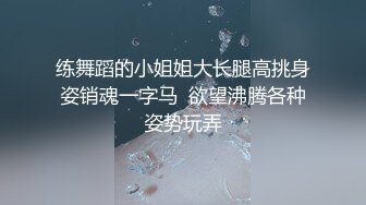 麻豆传媒-淫亵裸体临摹-李蓉蓉