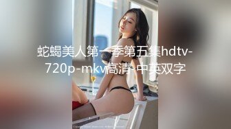 蛇蝎美人第一季第五集hdtv-720p-mkv高清-中英双字