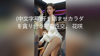 12号-女仆装要求深一点