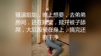 【泄密】大堂经理 小瑜 穿着工服戴着肛塞厕所拉出来舔一舔