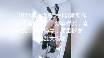 2024年，淫妻大神近期新作，【番尼君】，分享老婆，喜欢找单男和换妻，质量挺高，淫乱大场面