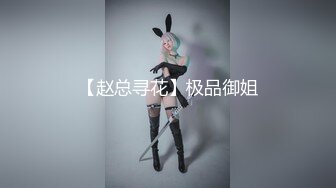 【赵总寻花】极品御姐