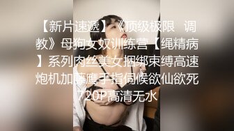 国产眼镜骚女 反差小饼干 车震 3p 足交吞精【35v】 (18)