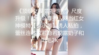 操个蕾姆小妹妹2