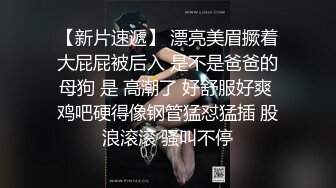 精品未流出红丝小母狗