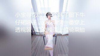 小宝寻花约了两个妹子留下牛仔裙妹子，沙发调情一番穿上透视装，口交摸逼上位骑乘抽插