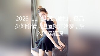 骚气黑衣少妇激情啪啪，穿上情趣吊带装口交后入抽插猛操