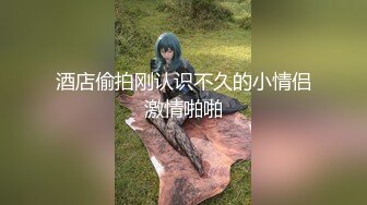 【无情的屌】约操马尾辫外围骚女，跪在地上吸吮大屌，开档黑丝袜猛操骚穴，扶腰后入深插