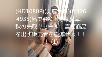 (HD1080P)(男尊女卑)(fc3964935)品で480！男尊女卑、秋の先取りセール！高額商品を出す販売者を殲滅せよ！！！ (1)