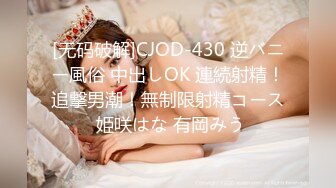 [高清中文字幕]CJOD-211 大汗淋漓的性慾痴女逃犯凜音桃花和被強制內射侵犯的我