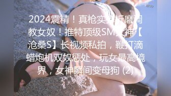 3/28最新 御姐女神丝袜母狗【小语】Cos旗袍装啪啪VIP1196