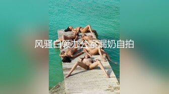 风骚白领办公室漏奶自拍