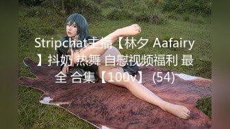 Stripchat主播【林夕 Aafairy】抖奶 热舞 自慰视频福利 最全 合集【100v】 (54)