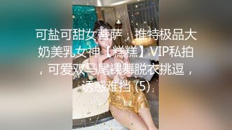 可盐可甜女菩萨，推特极品大奶美乳女神【糕糕】VIP私拍，可爱双马尾裸舞脱衣挑逗，诱惑难挡 (5)