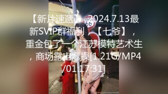 【新片速遞】  2024.7.13最新SVIP群福利，【七爷】，重金包了一个江苏模特艺术生，商场露出爆操[1.21G/MP4/01:17:31]