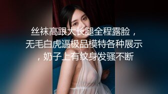  丝袜高跟大长腿全程露脸，无毛白虎逼极品模特各种展示，奶子上有纹身发骚不断