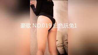 豪歌 NO.019 白色玩兔1