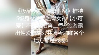 《极品反差✿骚妻泄密》推特S级身材美艳翘臀女神【小可爱】不雅私拍第二季~旅游露出性爱野战公共场所啪啪各个地方都是战场