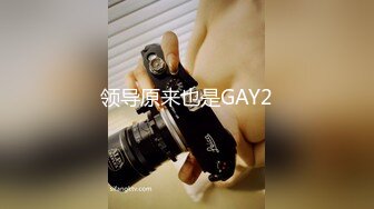 领导原来也是GAY2