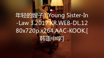 年轻的嫂子3.Young Sister-In-Law 3.2017.KR.WEB-DL.1280x720p.x264.AAC-KOOK.[韩语中字]