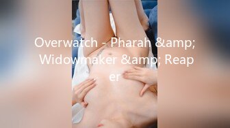 Overwatch - Pharah &amp; Widowmaker &amp; Reaper