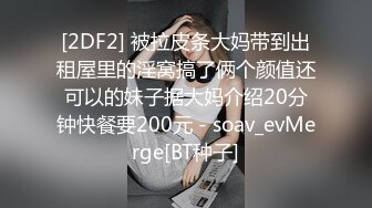 丰满大奶美熟妇深夜小公园勾引戴眼镜文质彬彬小哥,进附近小宾馆啪啪,熟女真败火