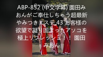 ABP-852 (中文字幕) 園田みおんがご奉仕しちゃう超最新やみつきエステ 43 お客様の欲望で凝り固まったアソコを極上リフレッシュ！！ 園田みおん