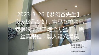 2023-3-26【梦幻谷先生】良家极品少妇，宝马女护肤品老板娘，第二炮全力猛干，黑丝高跟鞋，怼入骚穴爆操