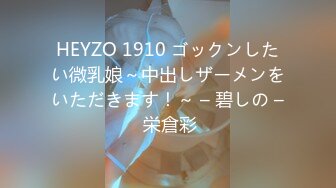 HEYZO 1910 ゴックンしたい微乳娘～中出しザーメンをいただきます！～ – 碧しの – 栄倉彩