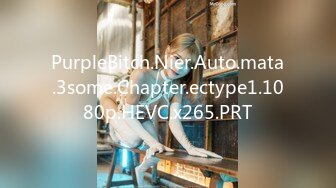 PurpleBitch.Nier.Auto.mata.3some.Chapter.ectype1.1080p.HEVC.x265.PRT